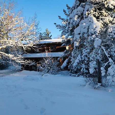 Kibuvitsa Holiday House Muratsi Kültér fotó